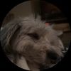 addie_132